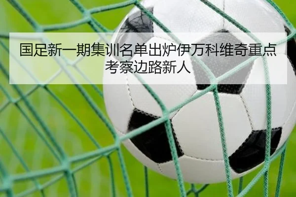 国足新一期集训名单出炉伊万科维奇重点考察边路新人